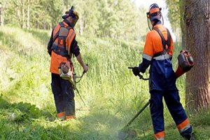 Two landscapers working in the field wear protective gear including hearing protection.